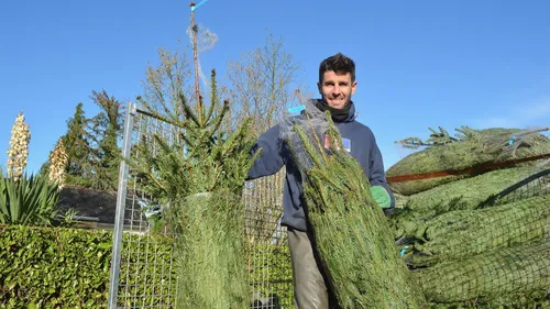 C'est le marché de Noël de l'Amour est dans le pré, à Pleyber-Christ